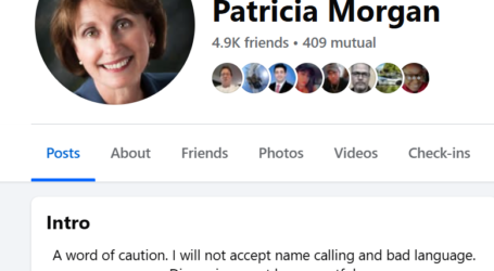 Former State Rep/US Senate Candidate Patricia Morgan Goes Negative … On Other Republicans?